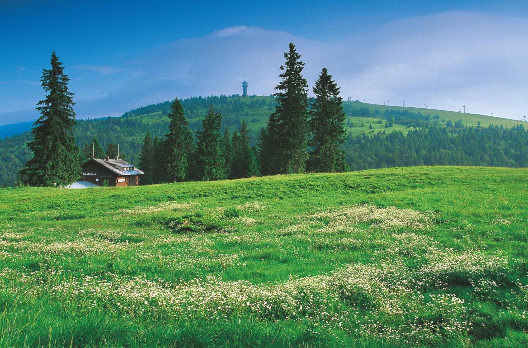 Hotel Charlott Eisenbach  Buitenkant foto